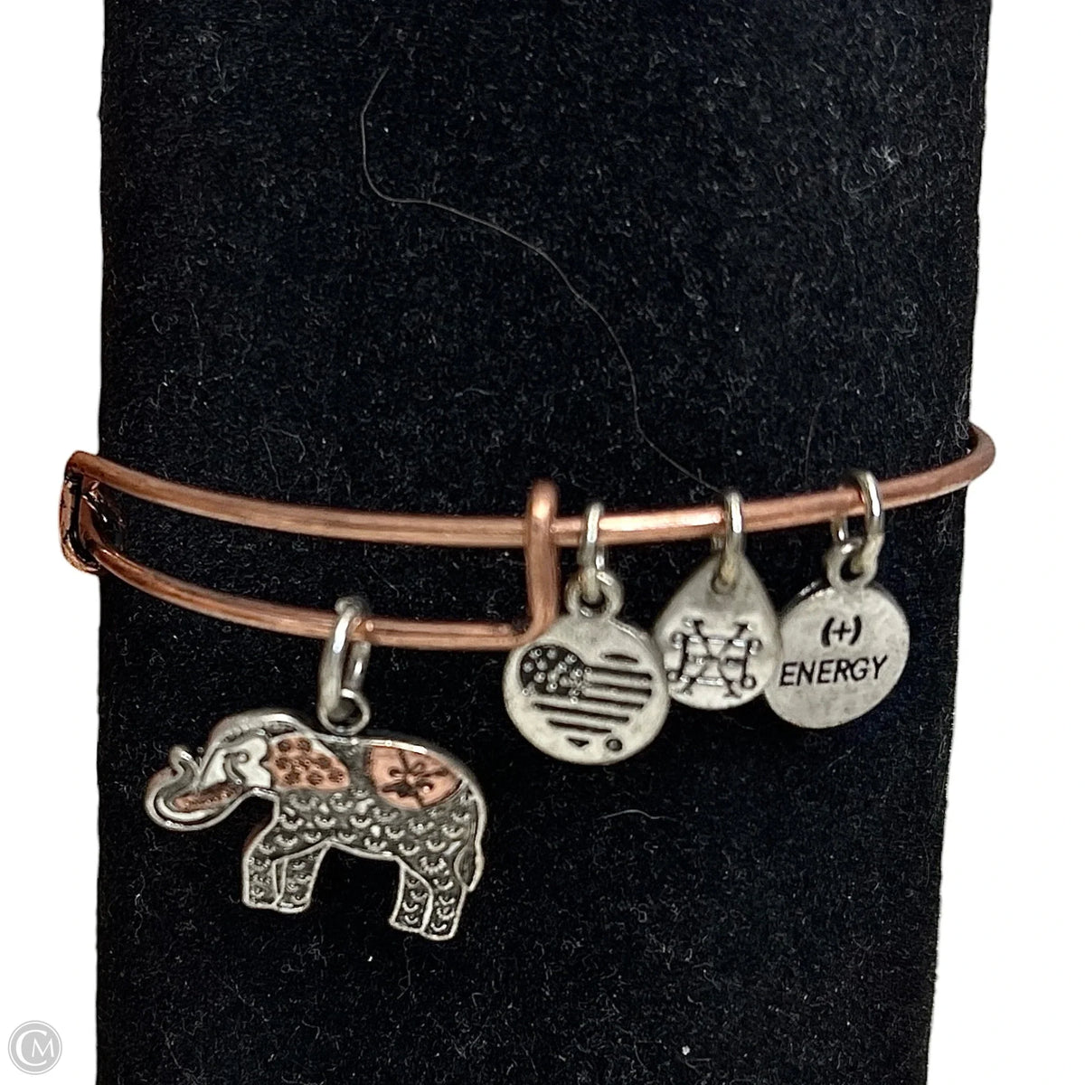 Bracelet Charm By Alex And Ani