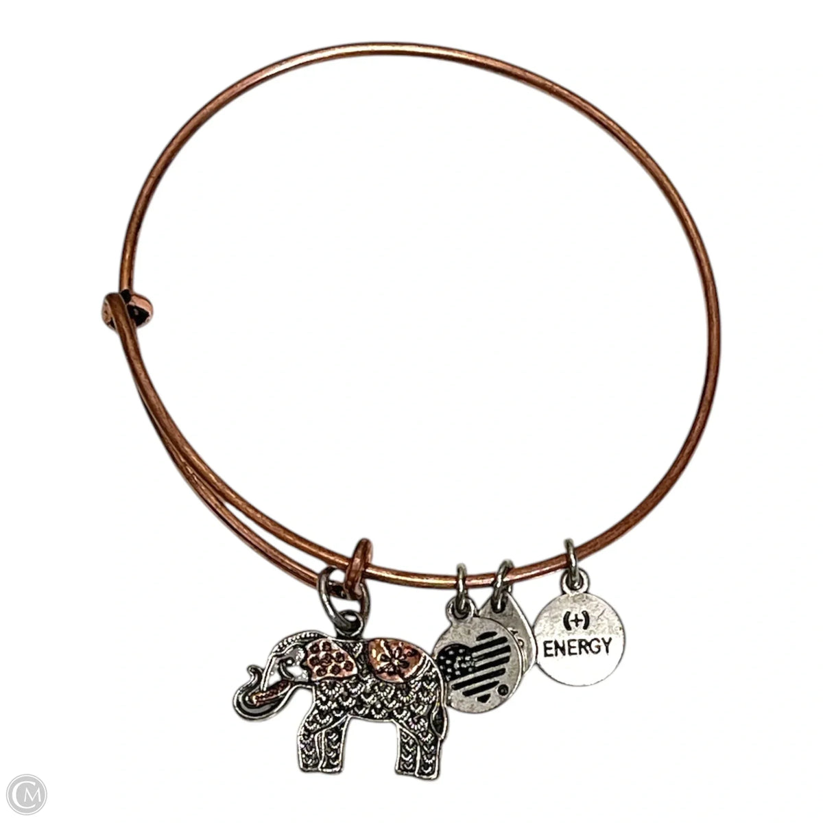 Bracelet Charm By Alex And Ani