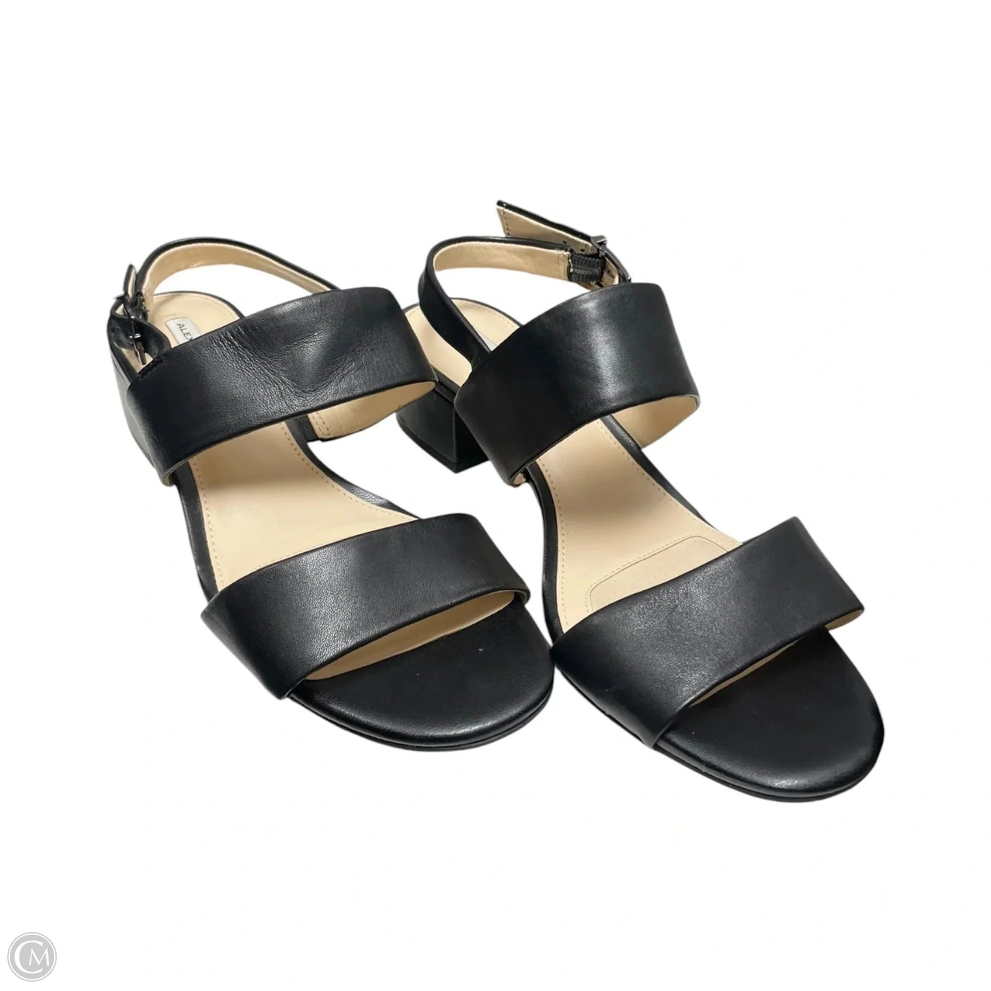 Sandals Heels Block By Alex Marie In Black, Size: 7