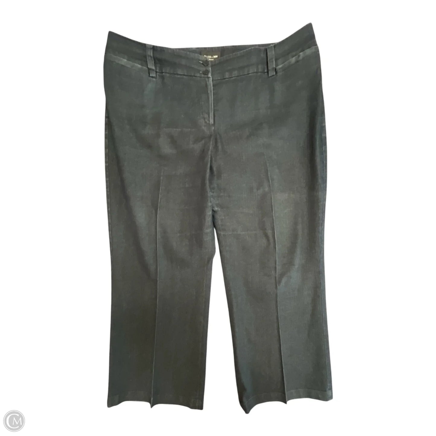 Pants Other By Focus 2000 In Blue, Size: 2x