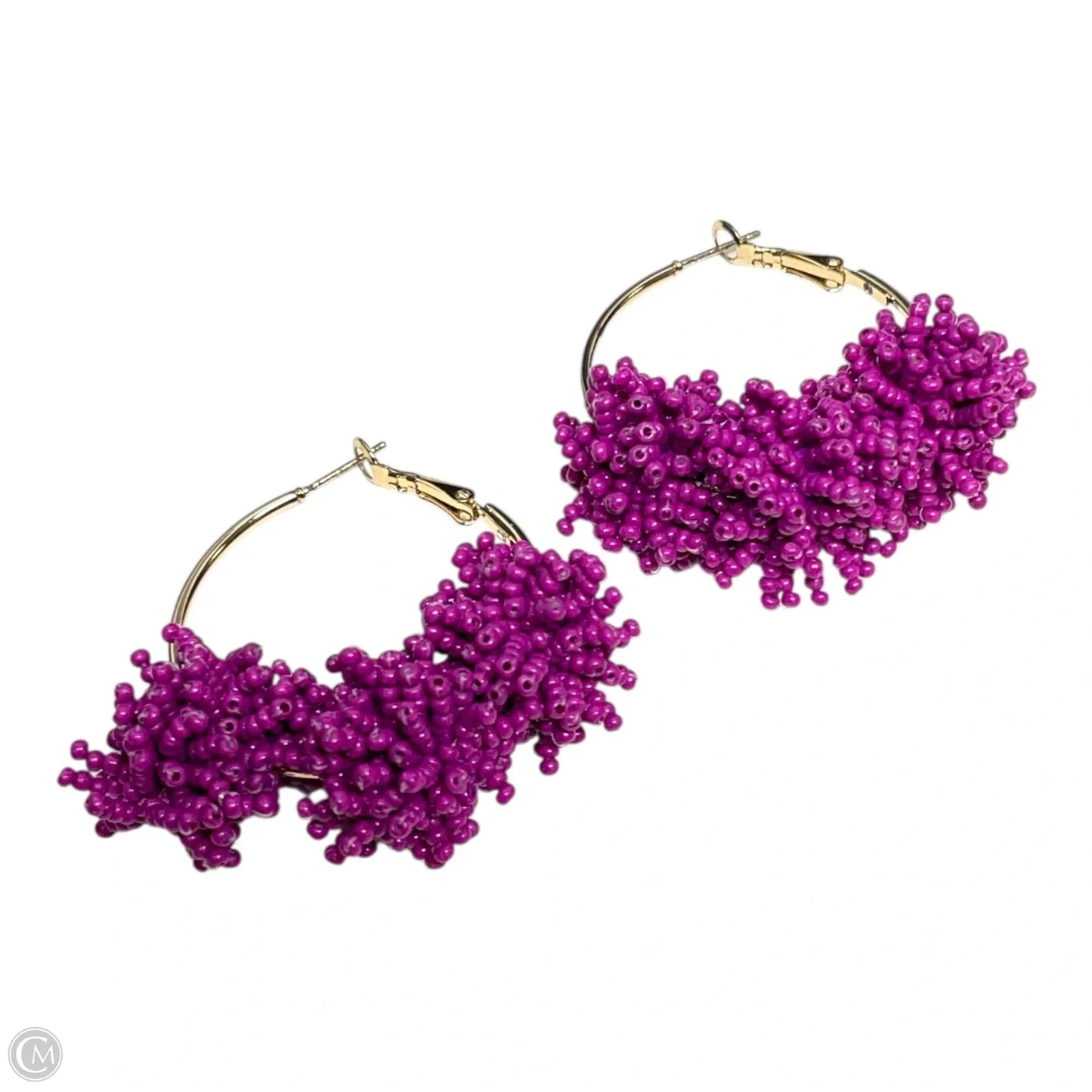 Earrings Dangle/drop By Chicos