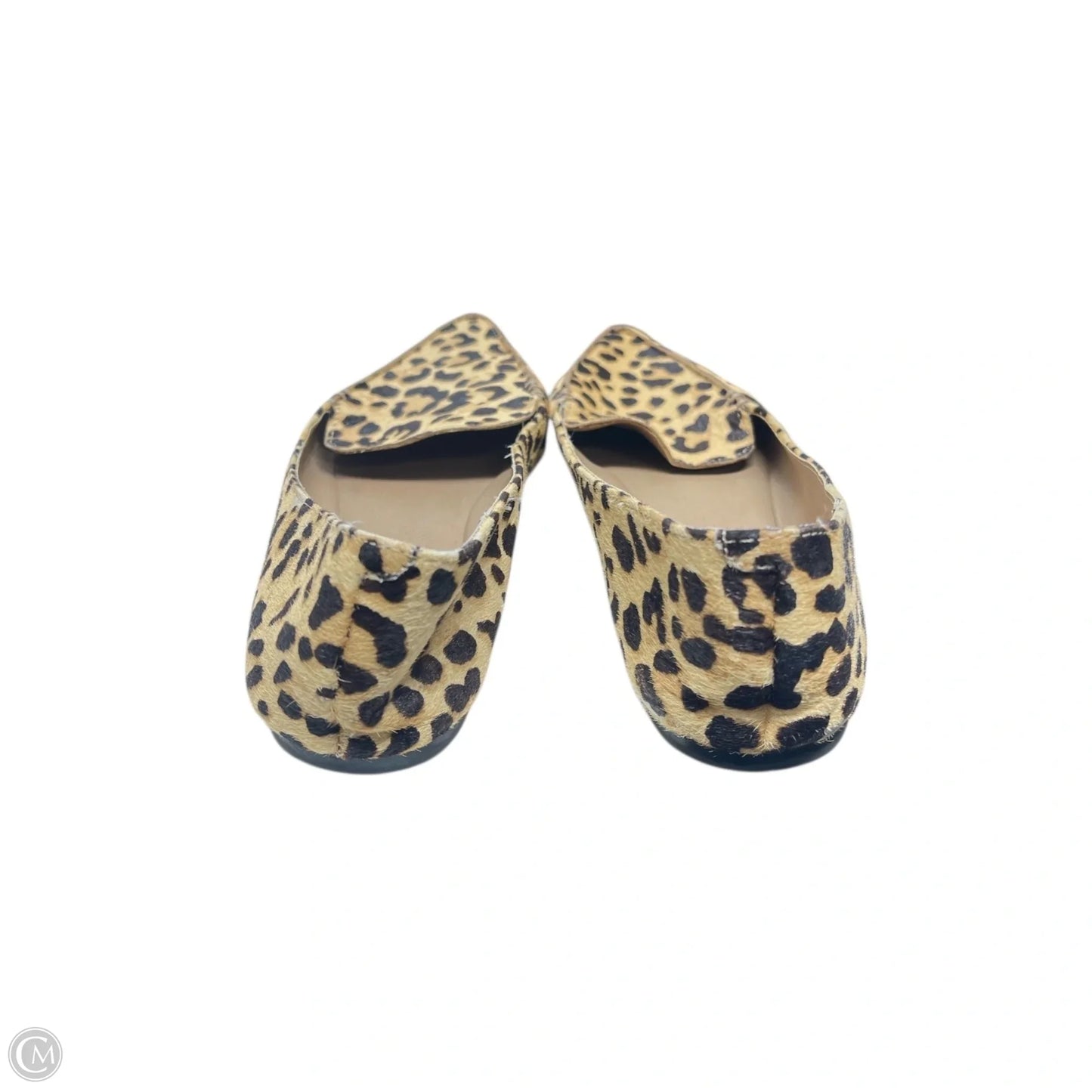 Shoes Flats By Steve Madden In Animal Print, Size: 8.5