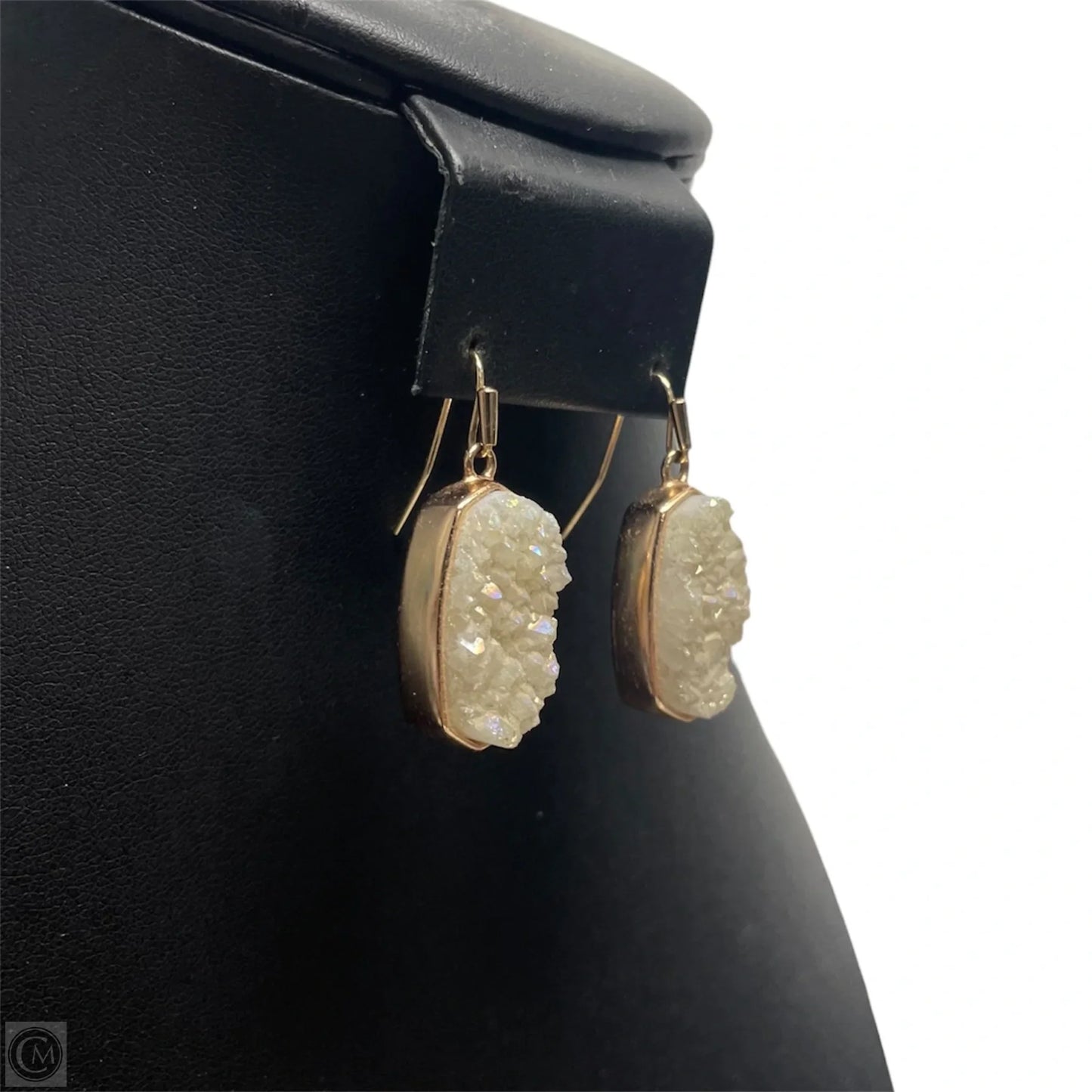 Earrings Dangle/drop By Kendra Scott