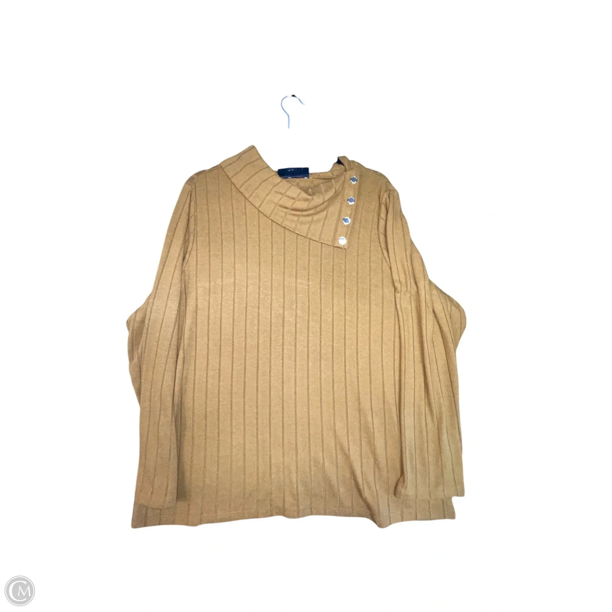 Top Long Sleeve By Rafaella In Brown, Size: Xxl