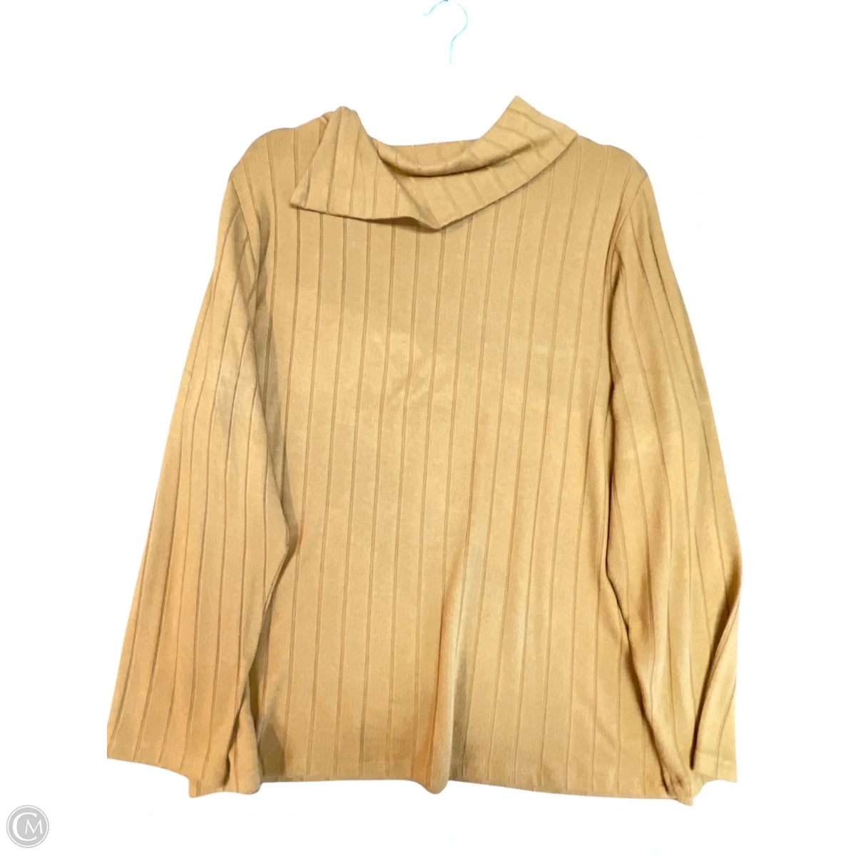 Top Long Sleeve By Rafaella In Brown, Size: Xxl