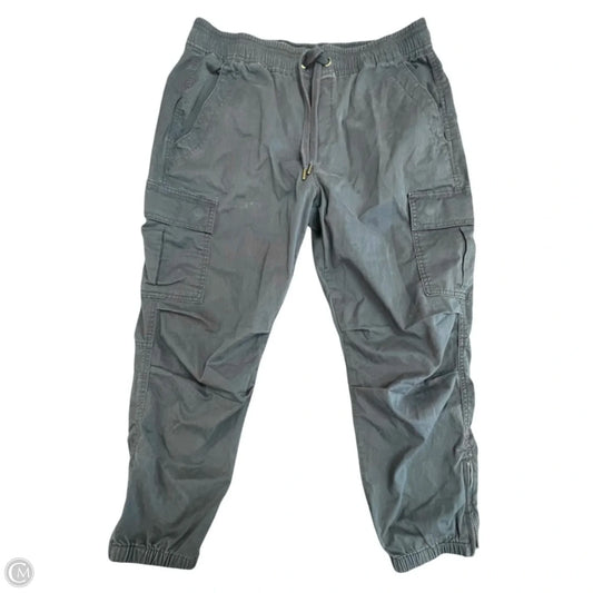 Pants Cargo & Utility By Polo Ralph Lauren In Navy, Size: M