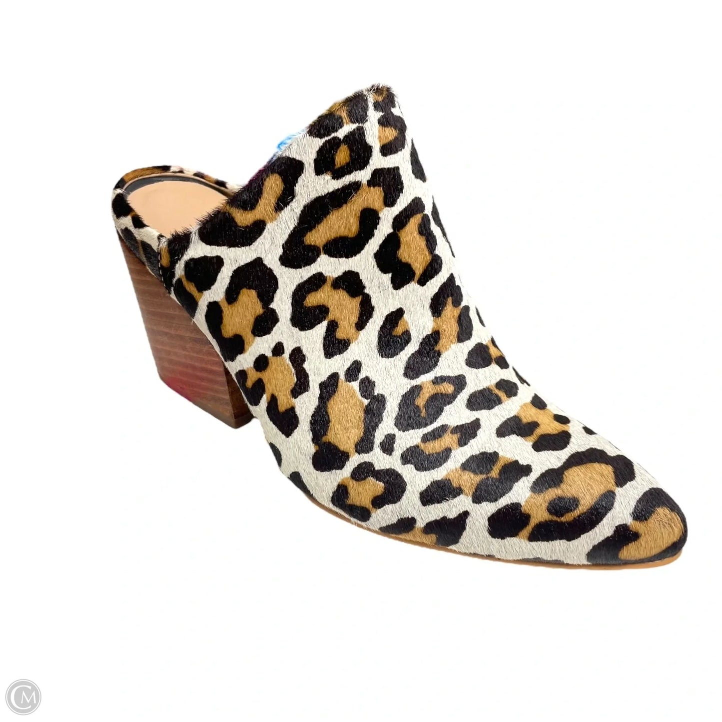 Shoes Heels Block By Able In Animal Print, Size: 7