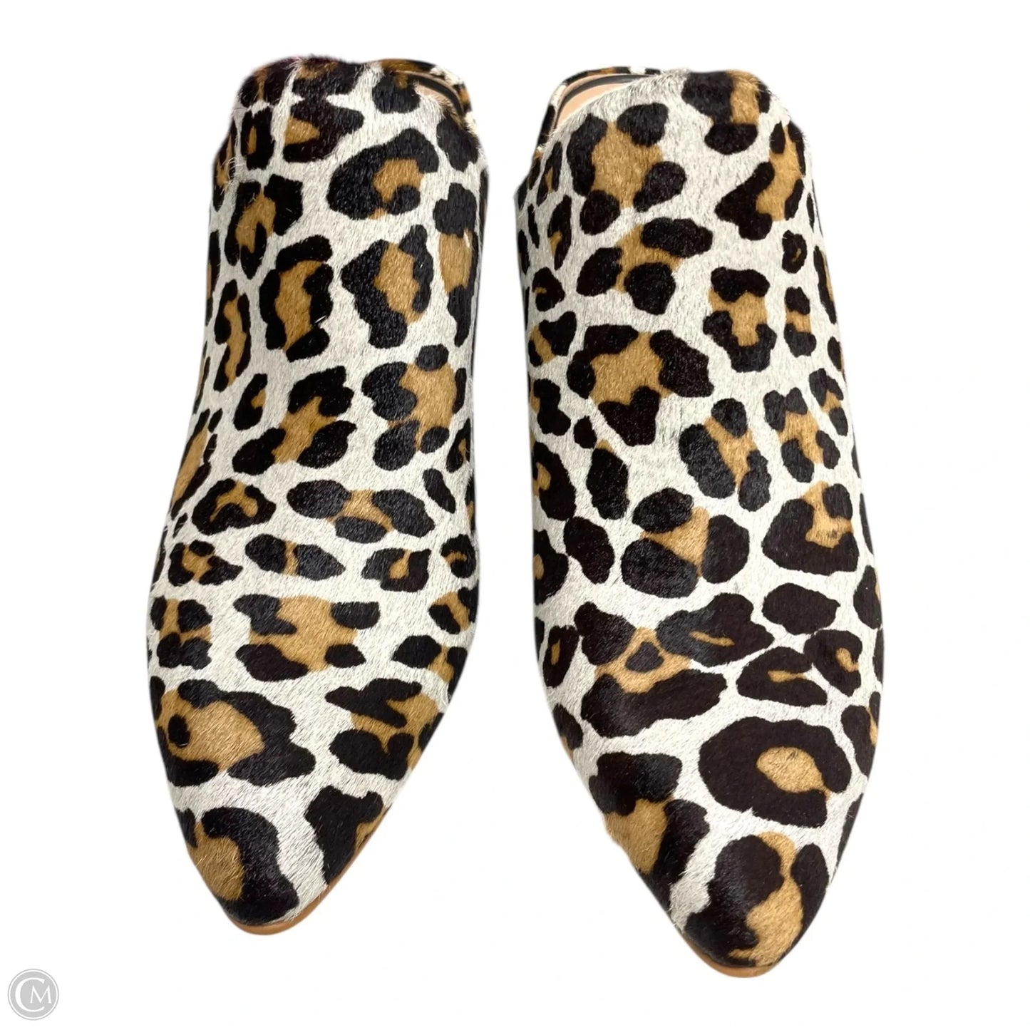 Shoes Heels Block By Able In Animal Print, Size: 7