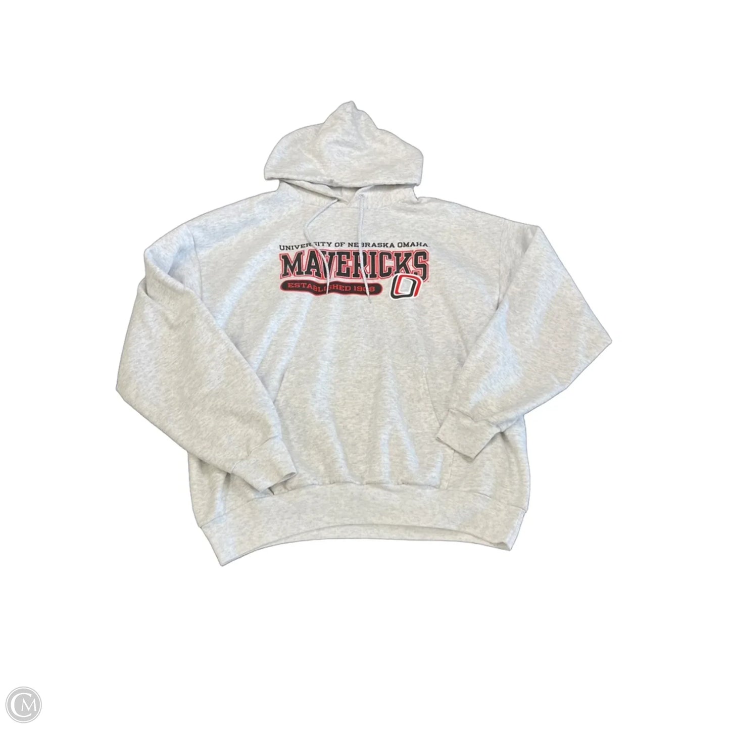 Sweatshirt Hoodie By Hanes In Grey, Size: Xl