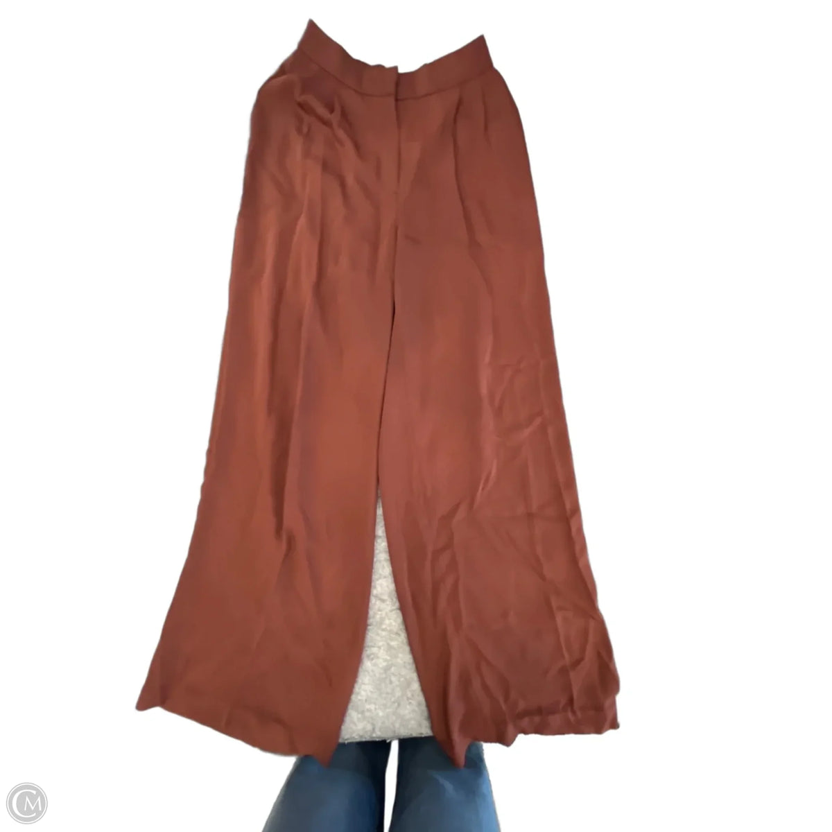 Pants Wide Leg By Express In Brown, Size: M