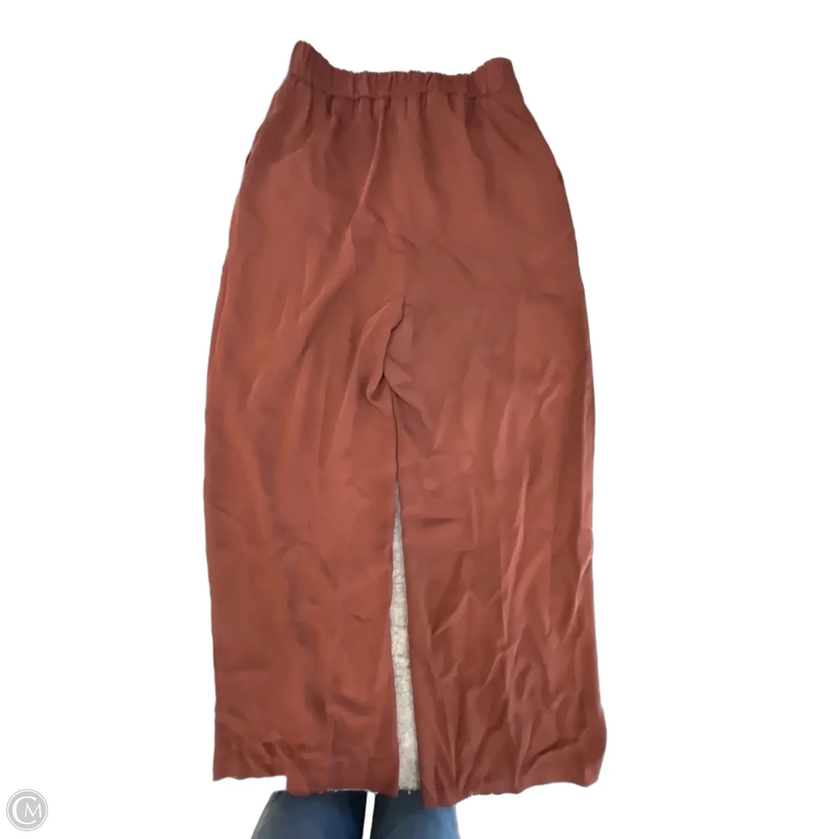 Pants Wide Leg By Express In Brown, Size: M