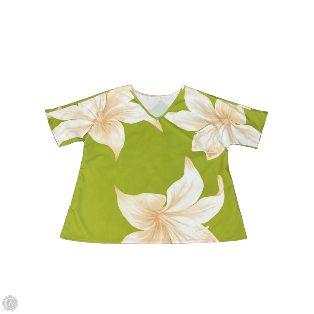Pants Set 2pc By Clothes Mentor In Green & White, Size: L