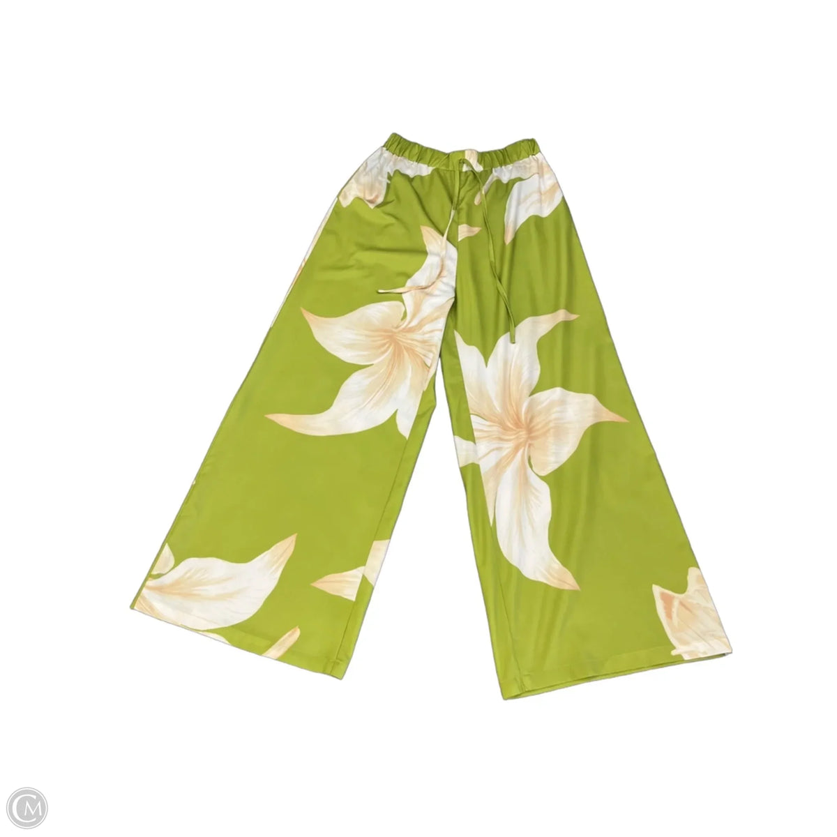 Pants Set 2pc By Clothes Mentor In Green & White, Size: L