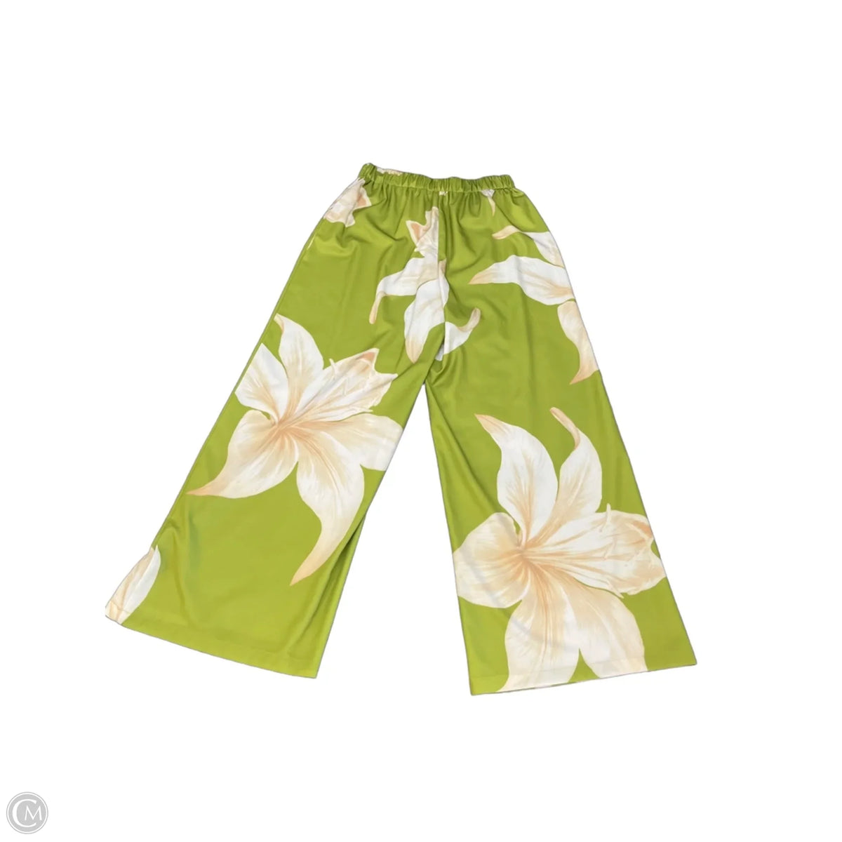 Pants Set 2pc By Clothes Mentor In Green & White, Size: L