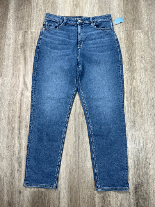 Jeans Straight By American Eagle In Blue Denim, Size: 14