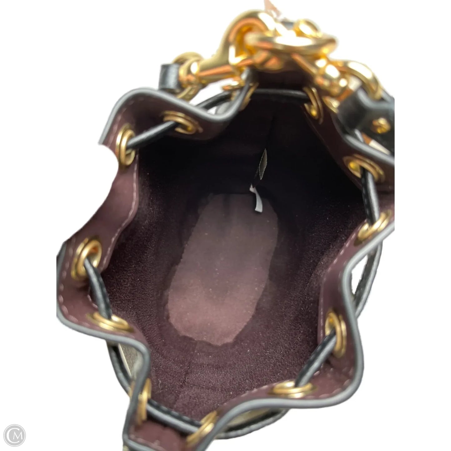 Crossbody Designer By Coach, Size: Small