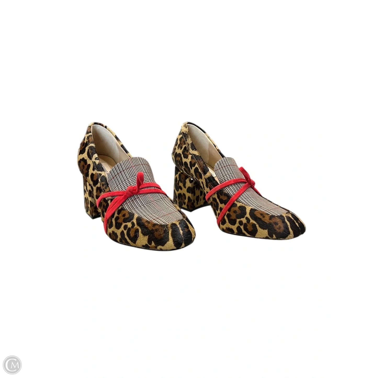 Shoes Heels Block By Antonio Melani In Leopard Print, Size: 7