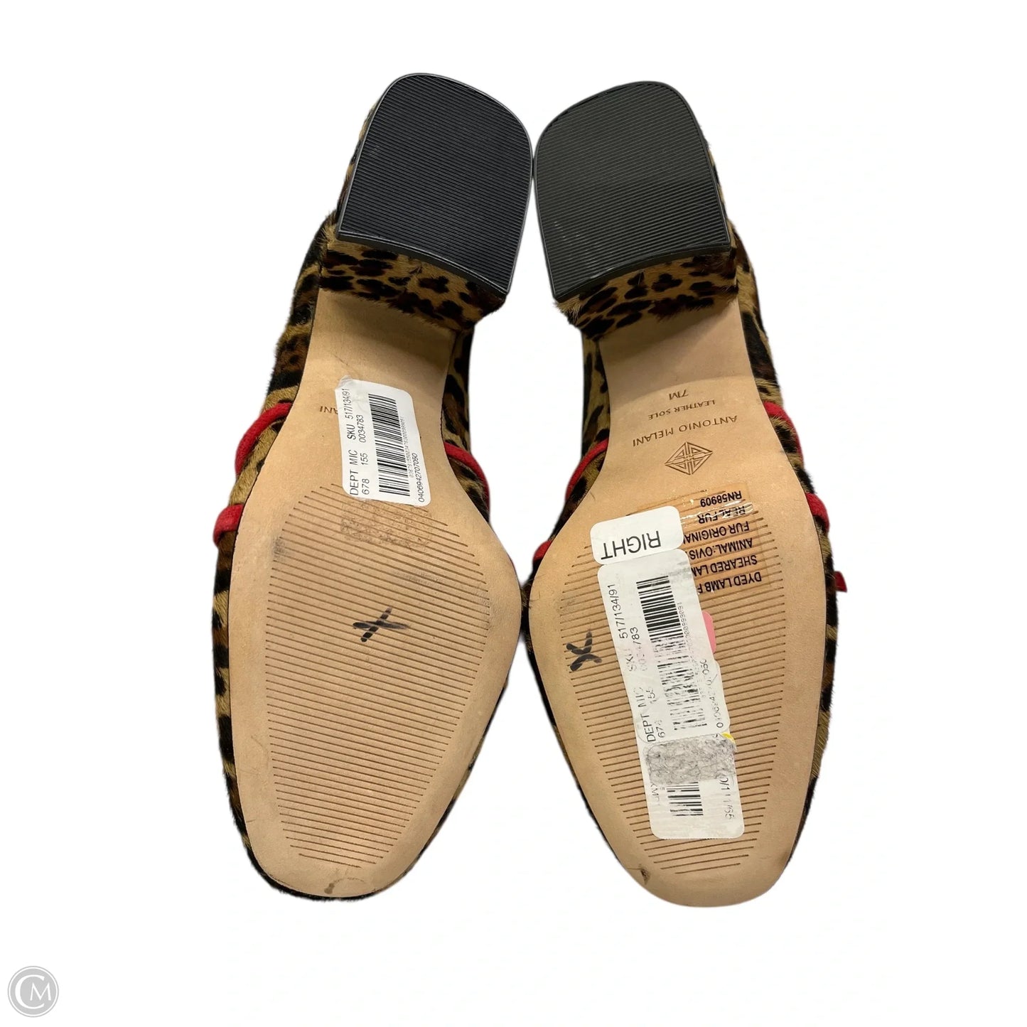 Shoes Heels Block By Antonio Melani In Leopard Print, Size: 7