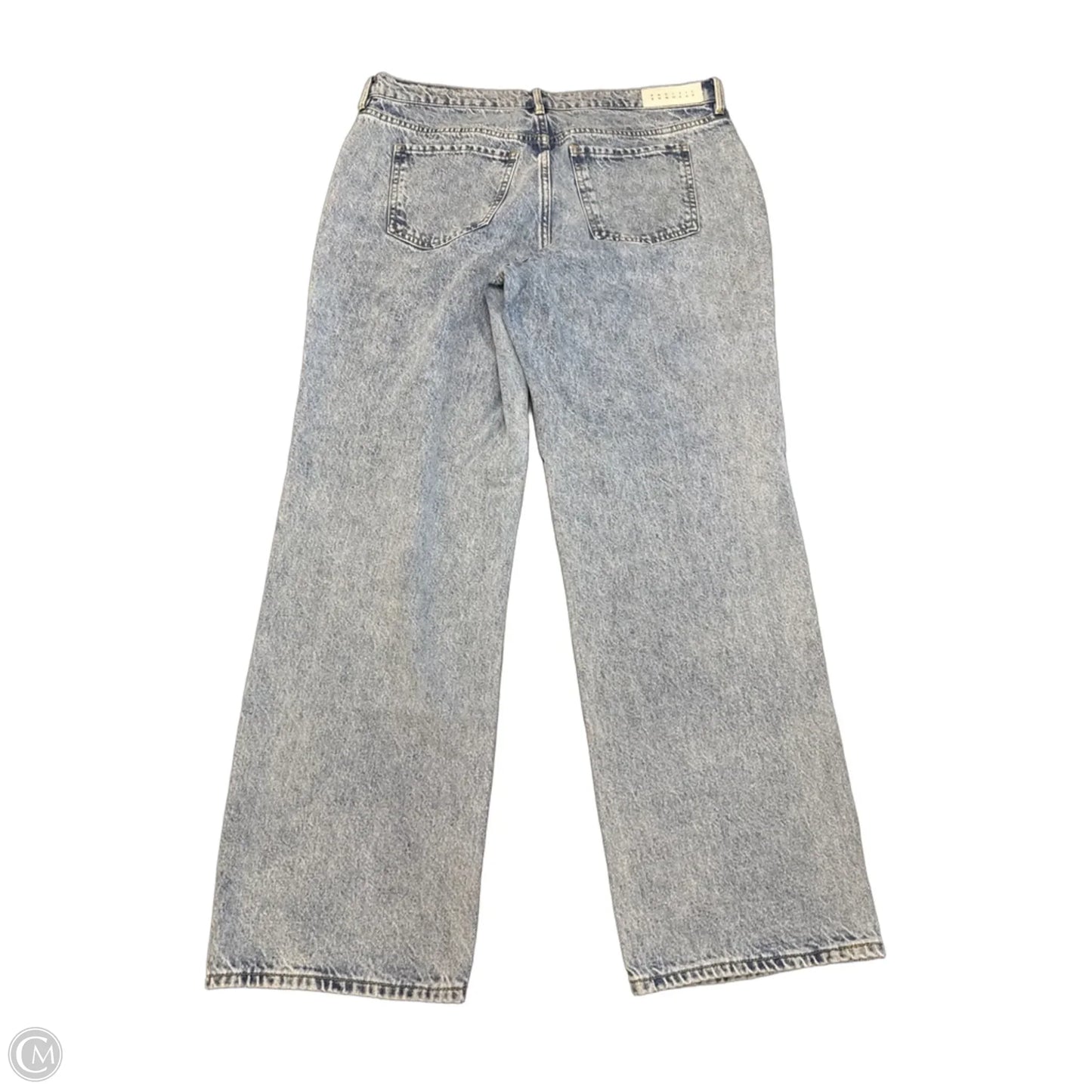 Jeans Wide Leg By Pacsun In Blue Denim, Size: 10