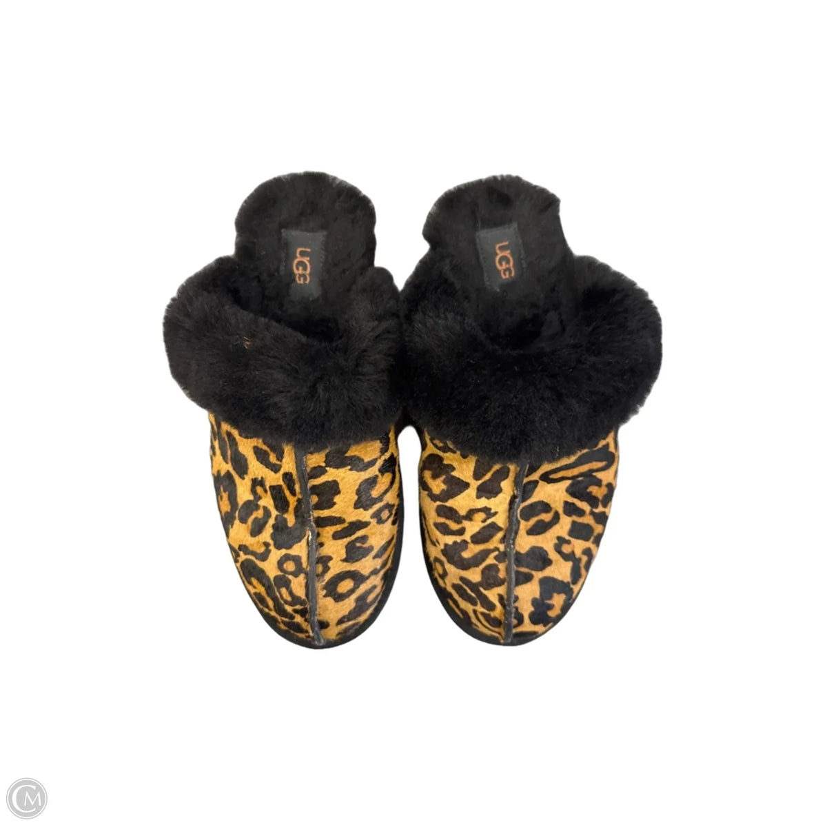 Slippers Designer By Ugg In Leopard Print, Size: 9