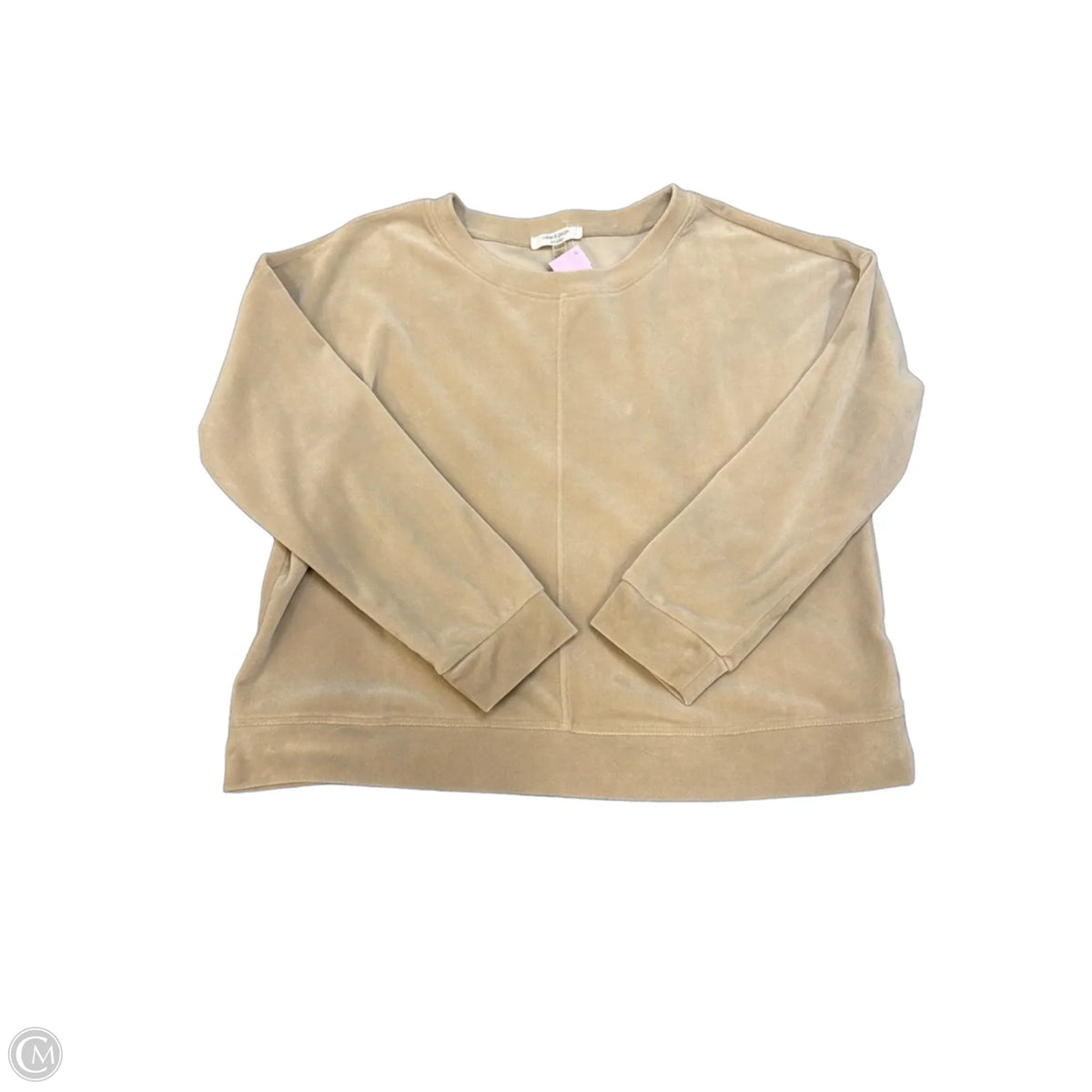 Pants Set 2pc By Cable And Gauge In Beige, Size: M