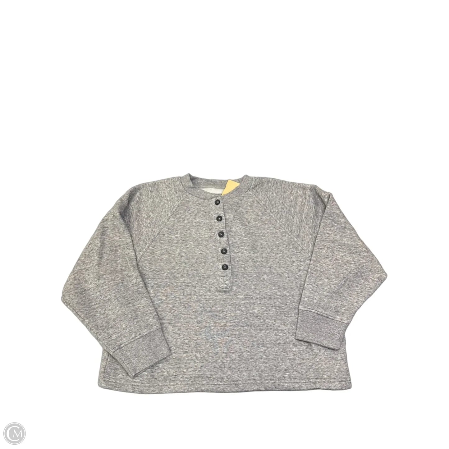 Sweatshirt Crewneck By Madewell In Grey, Size: M