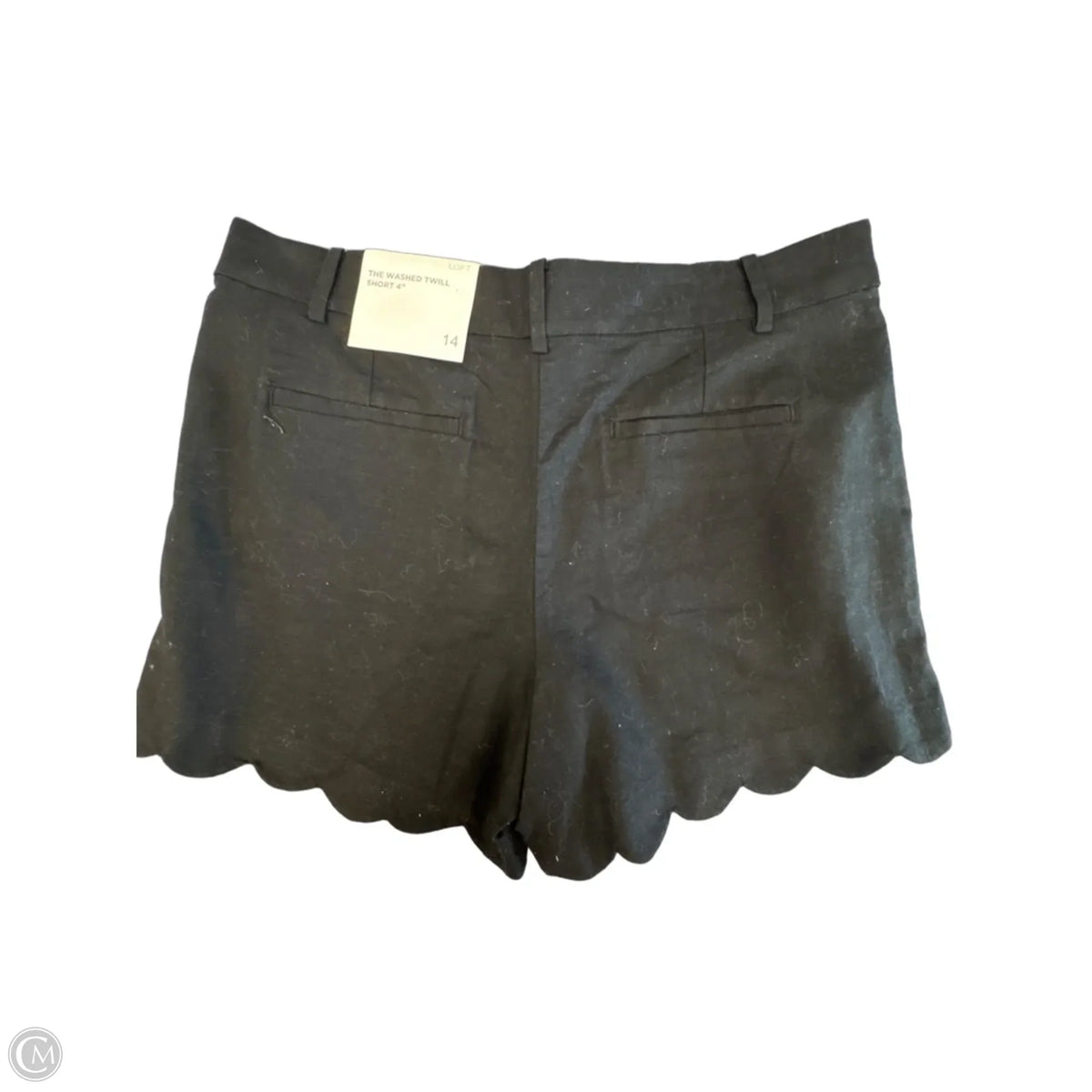 Shorts By Loft In Black, Size: Xl
