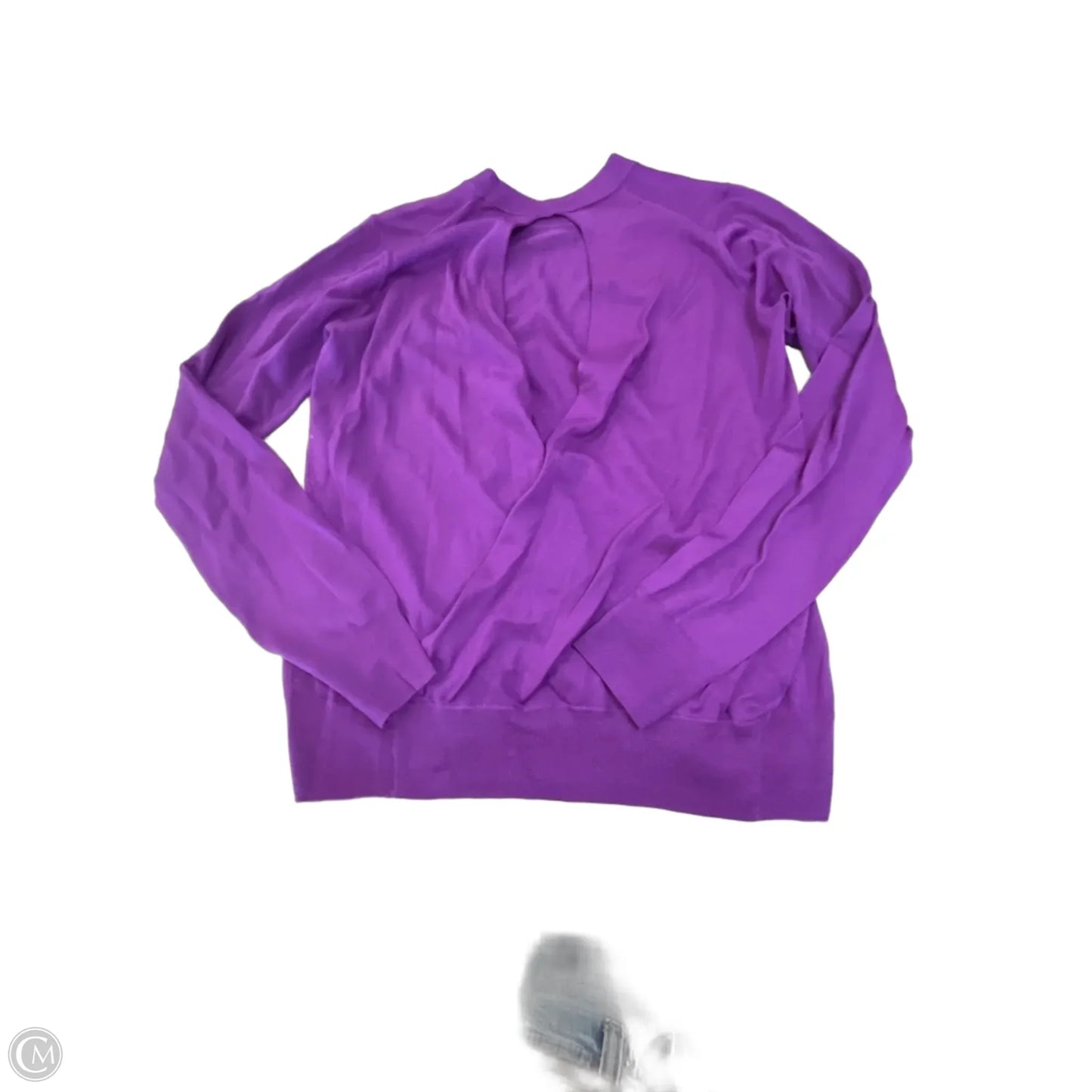 Top Long Sleeve By Zadig And Voltaire In Purple, Size: L