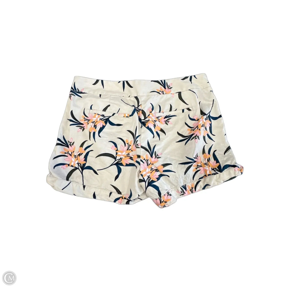 Shorts By Loft In Tan, Size: M