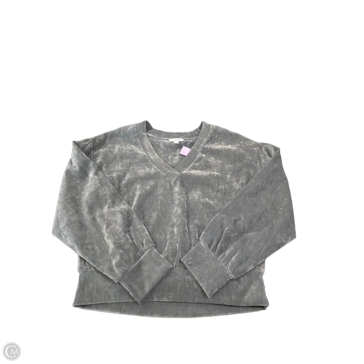 Top Long Sleeve By Evereve In Grey, Size: M