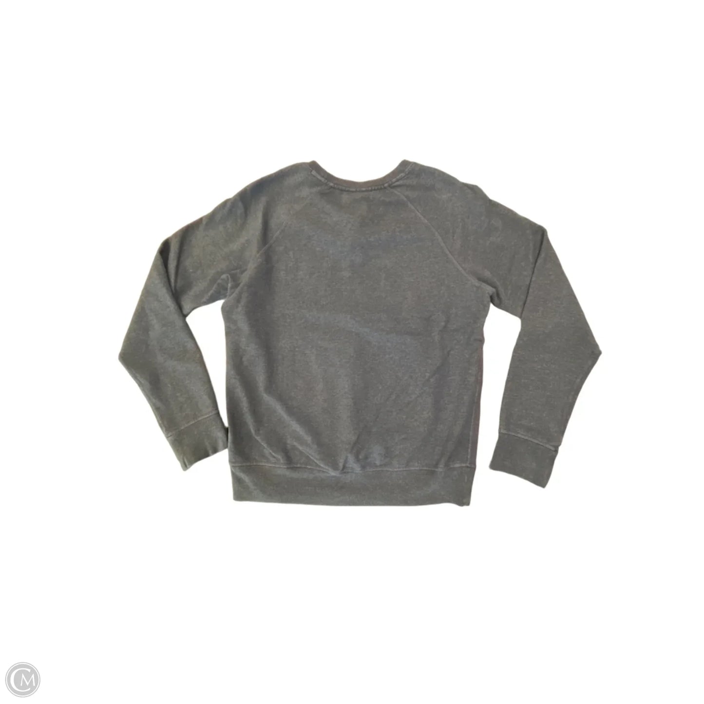 Sweatshirt Crewneck By Patagonia In Blue, Size: S