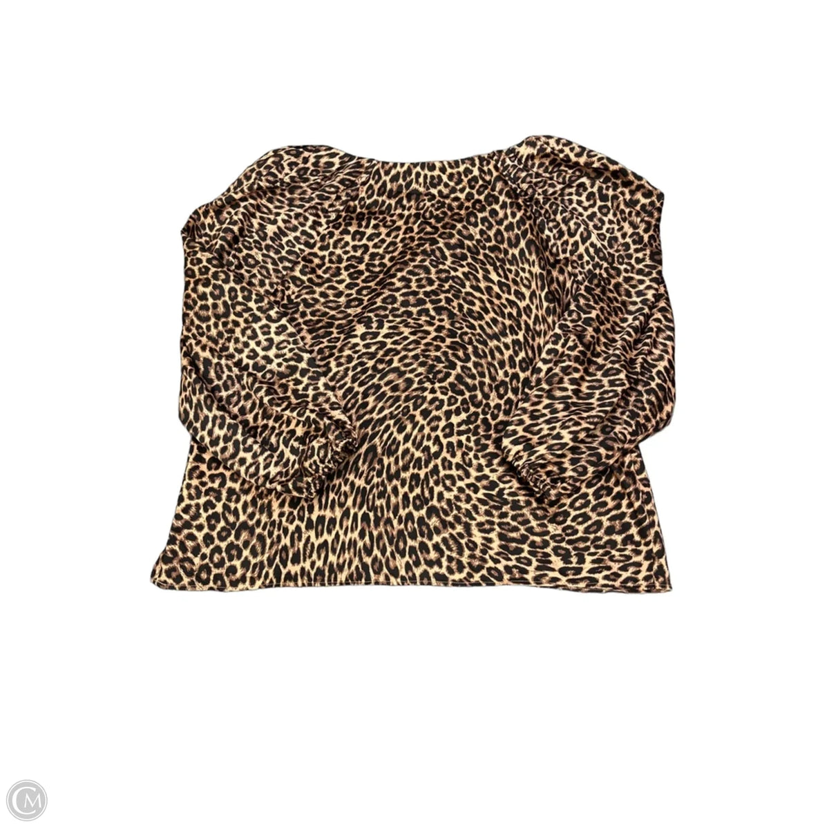 Blouse Long Sleeve By Loft In Leopard Print, Size: L