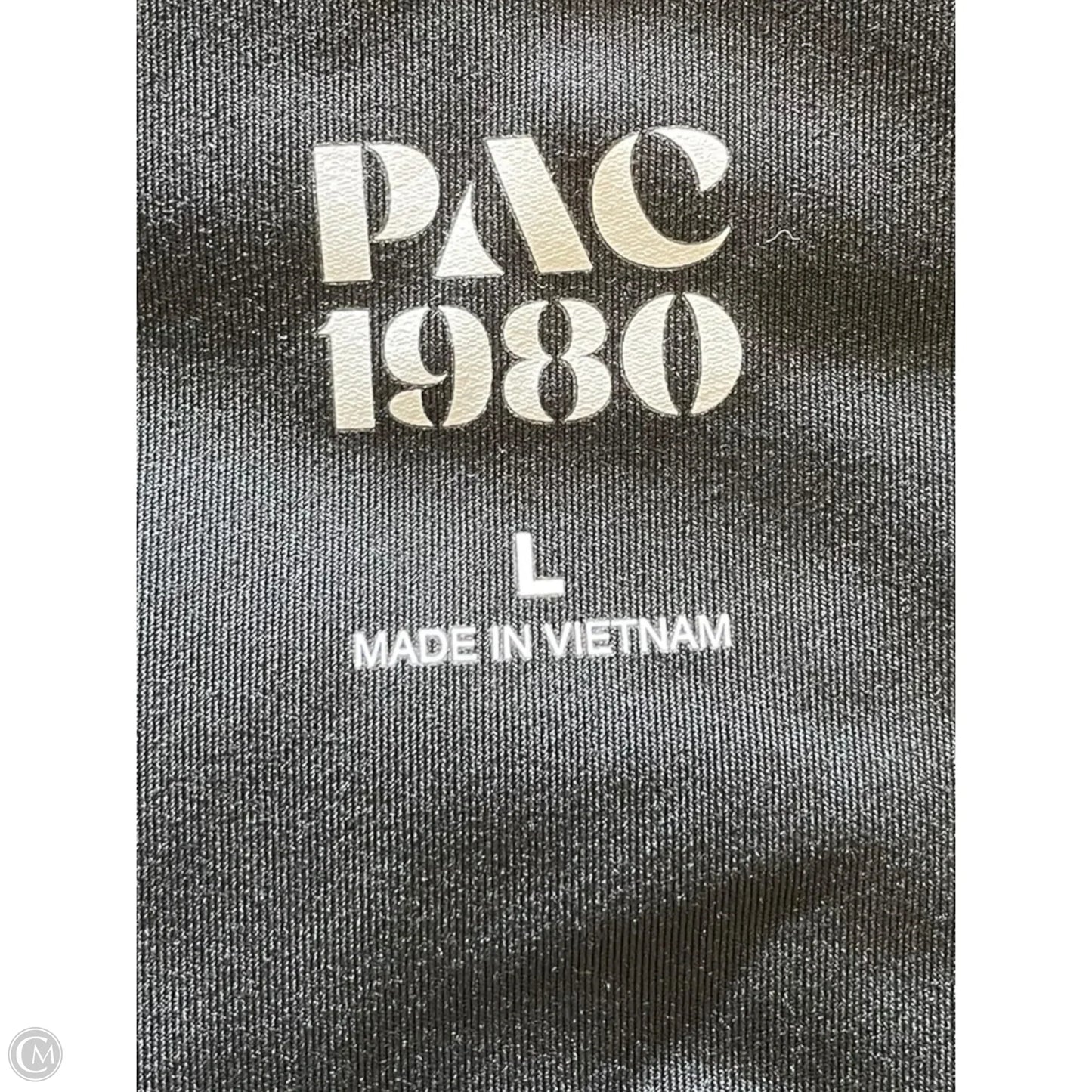 Athletic Pants By Pacsun In Black, Size: L