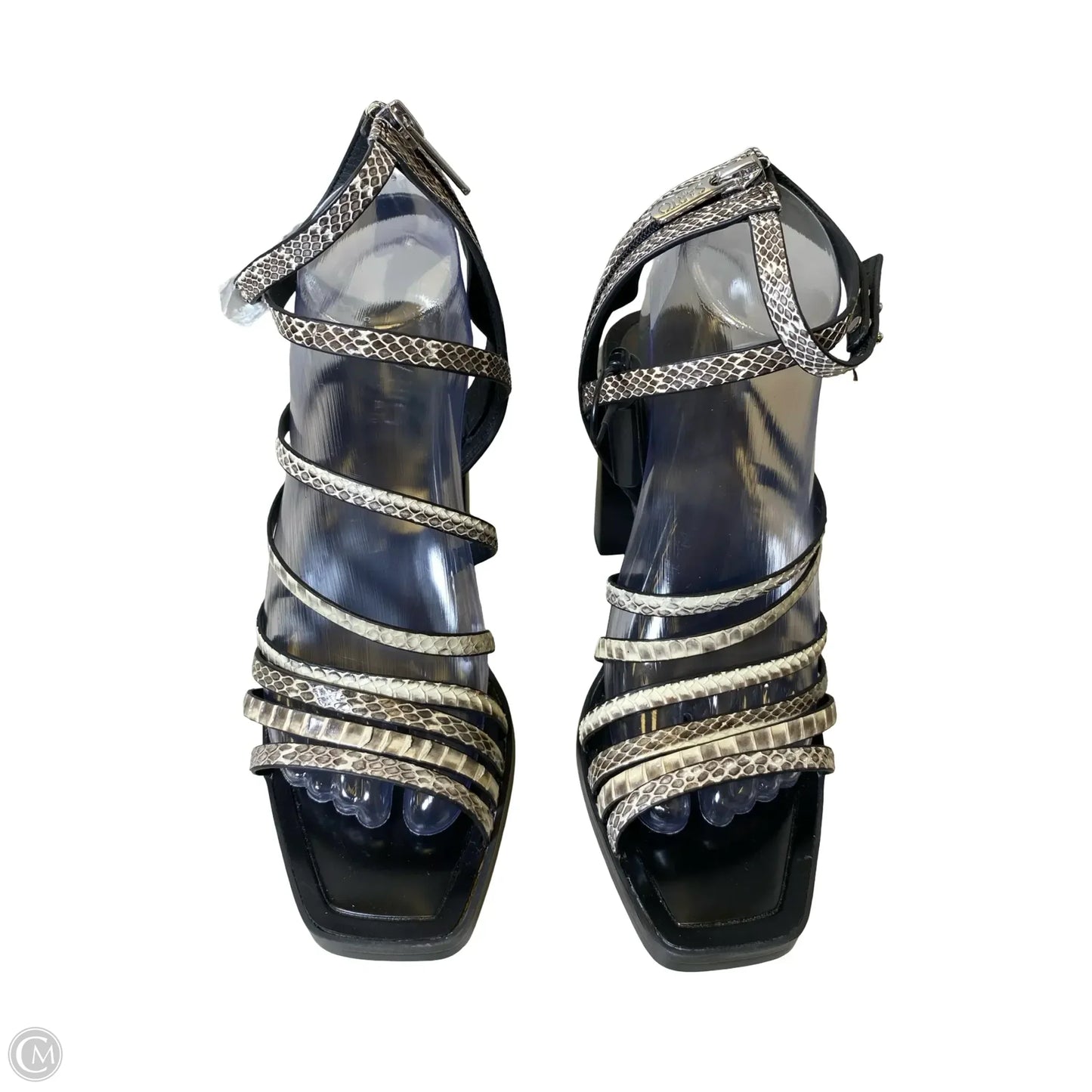 Shoes Heels Block By Franco Sarto In Snakeskin Print, Size: 9