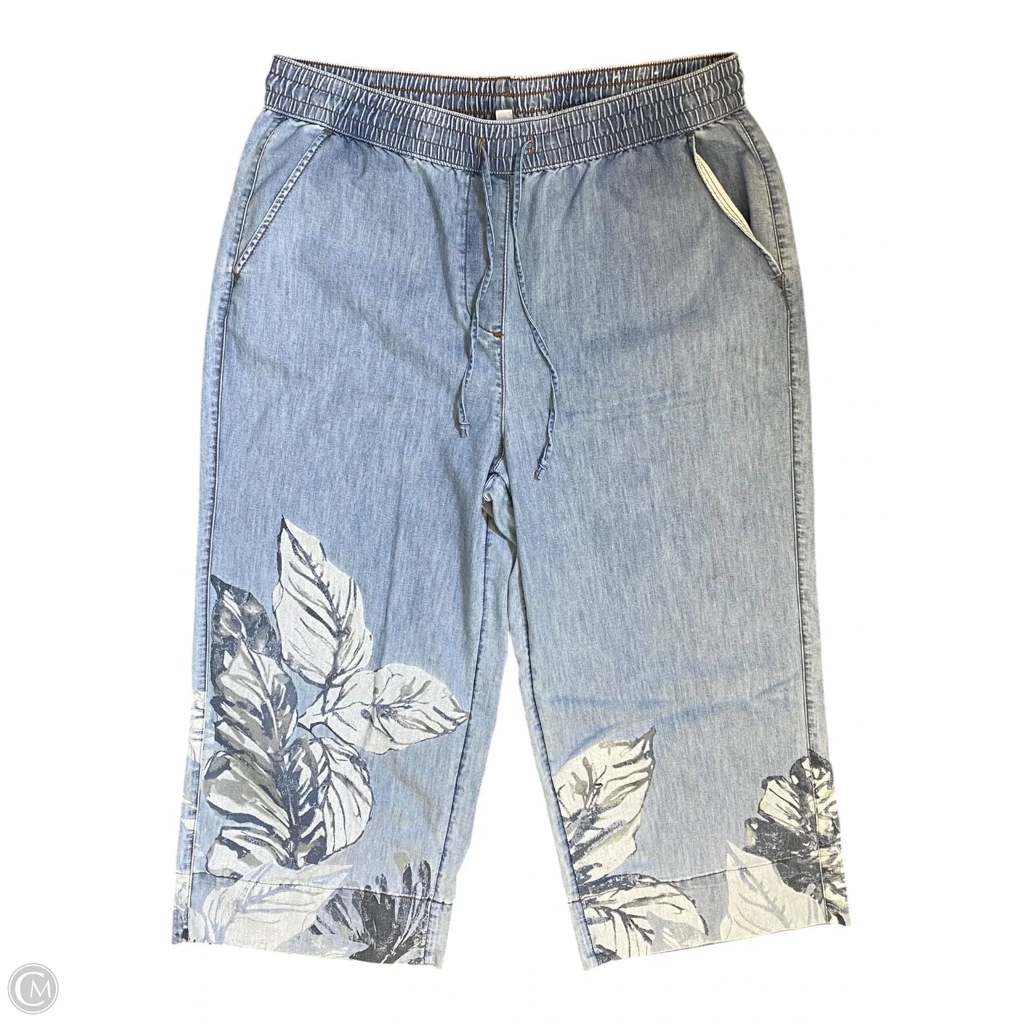 Jeans Wide Leg By Chicos In Blue Denim, Size: 12