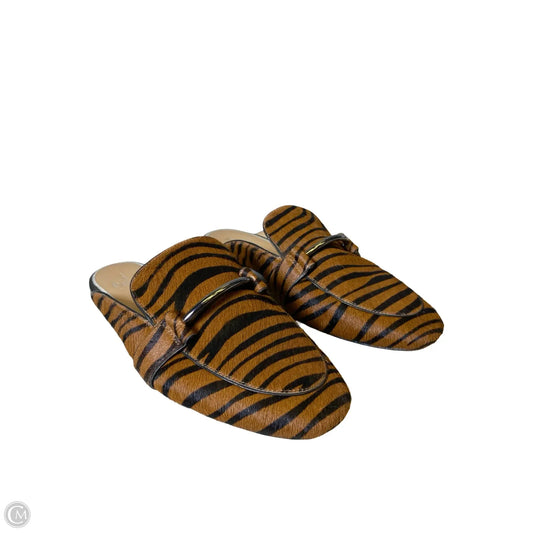Shoes Flats By Linea Paolo In Zebra Print, Size: 10