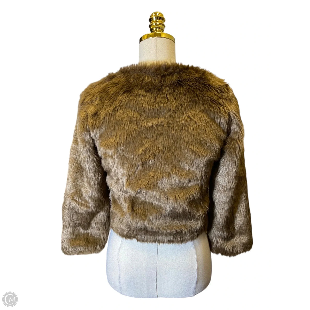 Jacket Moto By Clothes Mentor In Brown, Size: M