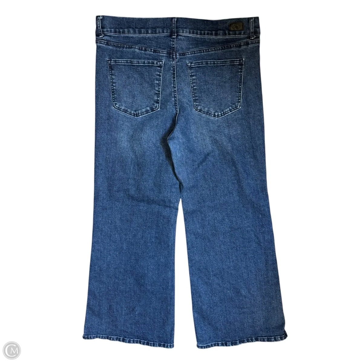 Jeans Wide Leg By Sofia By Sofia Vergara In Blue Denim, Size: 18