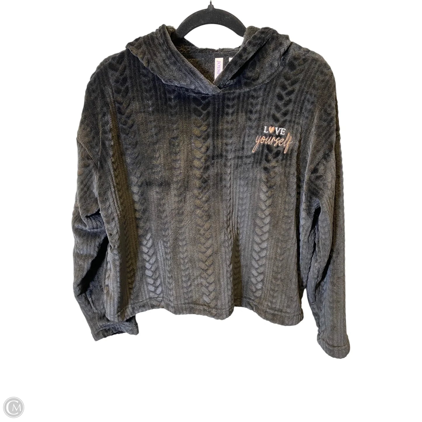 Sweatshirt Hoodie By Joyspun In Black, Size: S