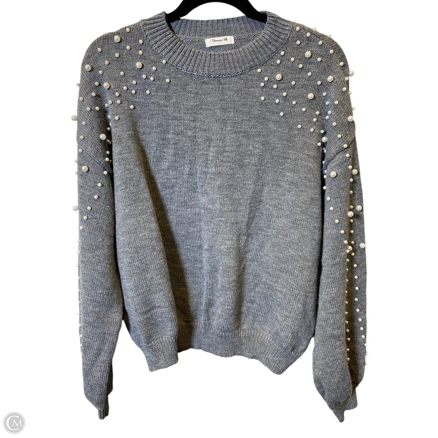 Sweater By Blooming Jelly In Grey, Size: L