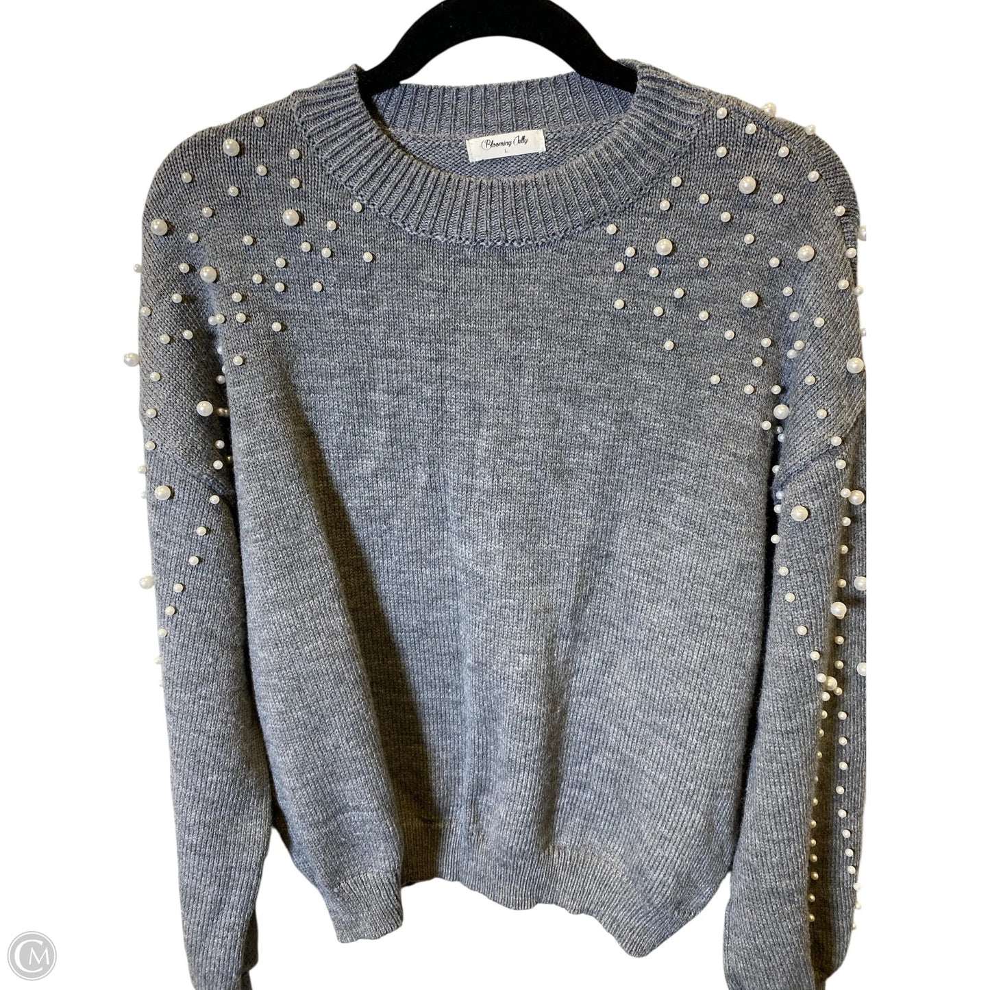 Sweater By Blooming Jelly In Grey, Size: L