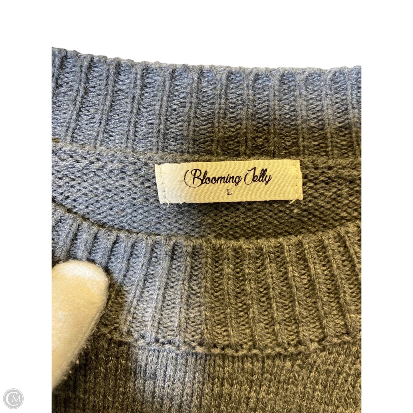 Sweater By Blooming Jelly In Grey, Size: L
