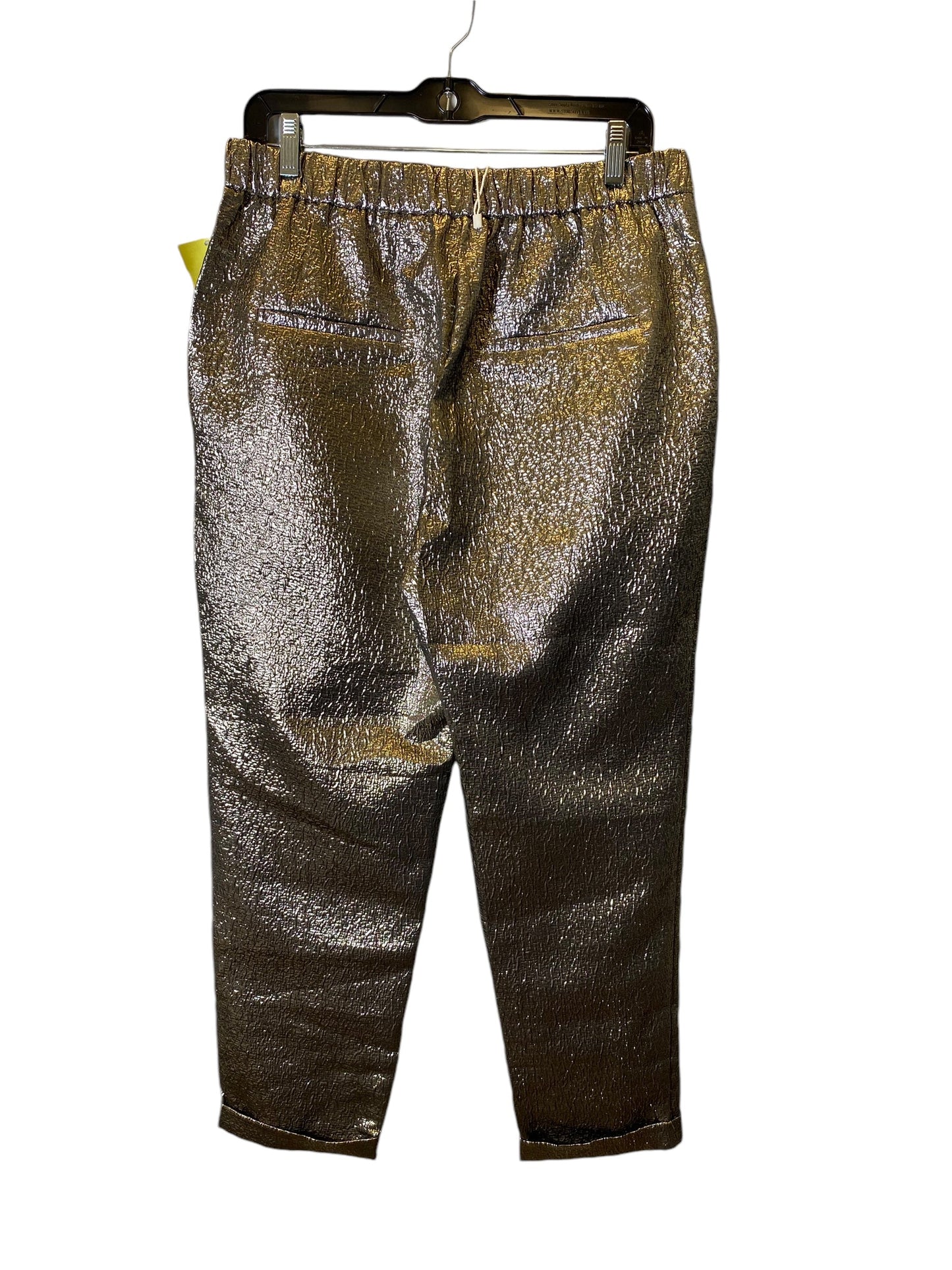 Pants Other By Zara In Gold, Size: 12