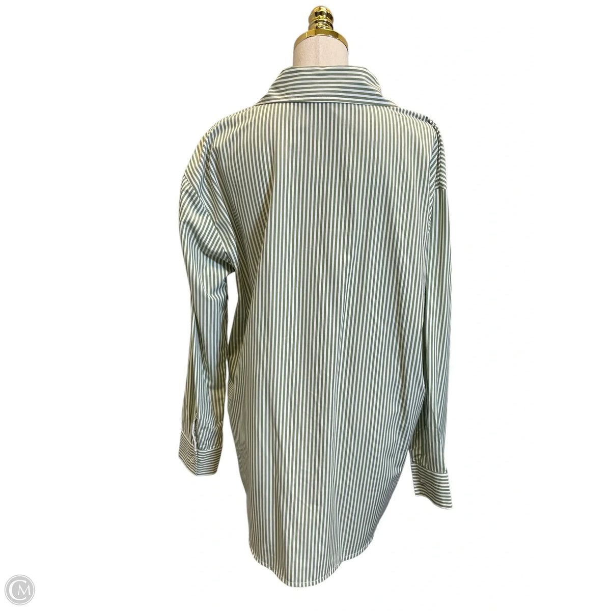 Blouse Long Sleeve By Clothes Mentor In Green & White, Size: Xl