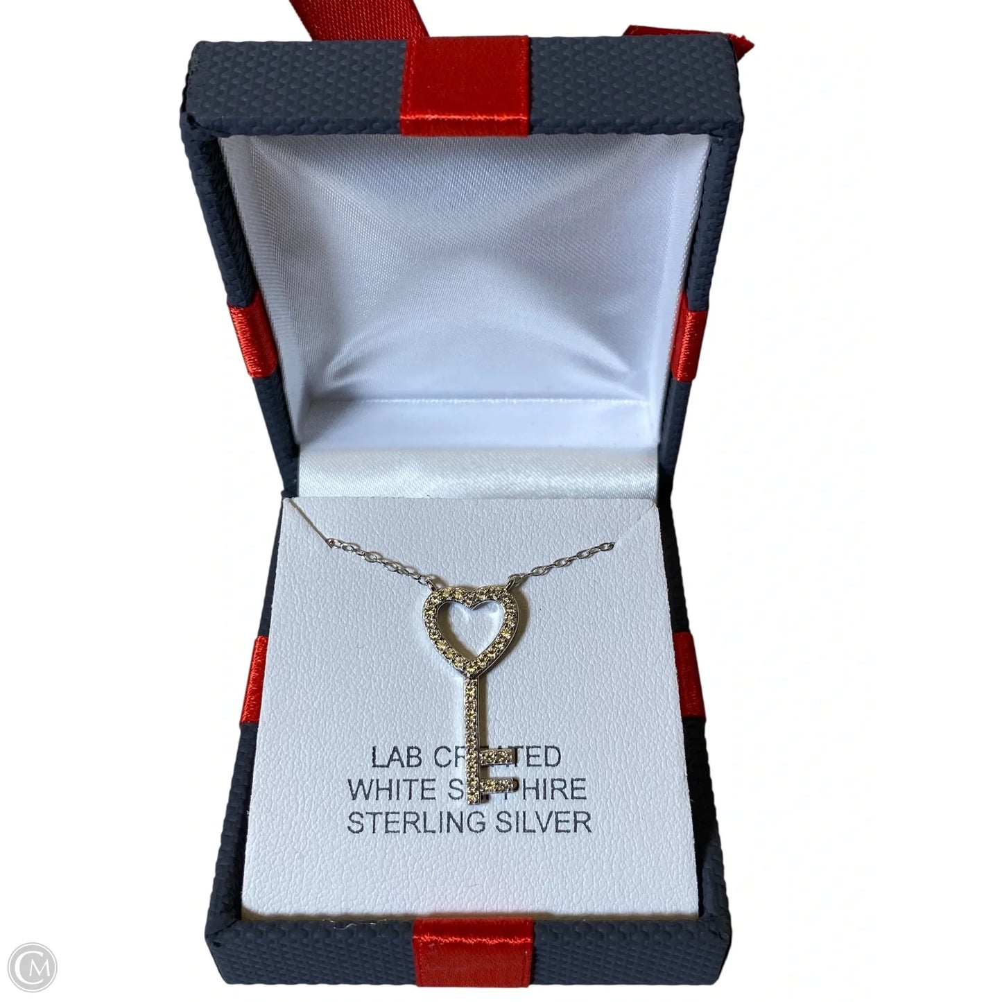 Necklace Chain By Clothes Mentor