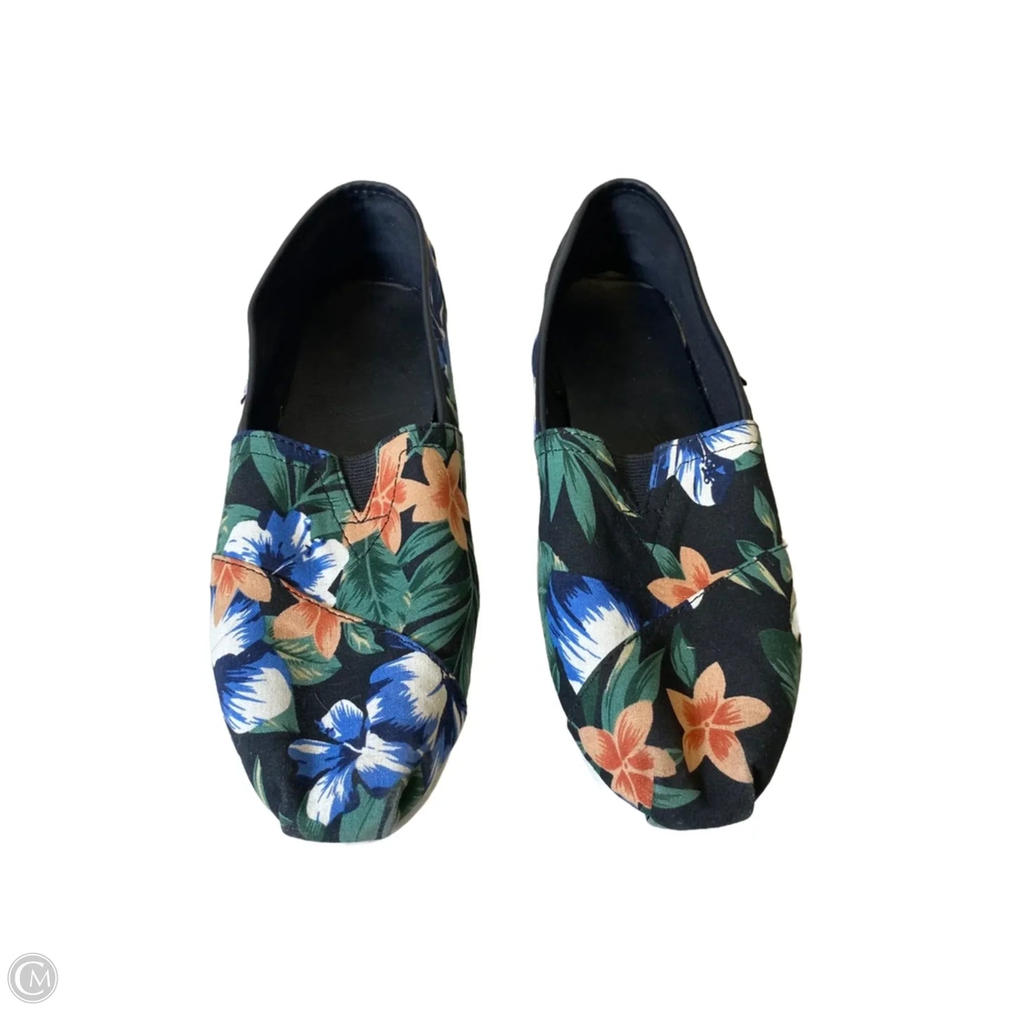 Shoes Flats By Charlie Paige In Floral Print, Size: 8