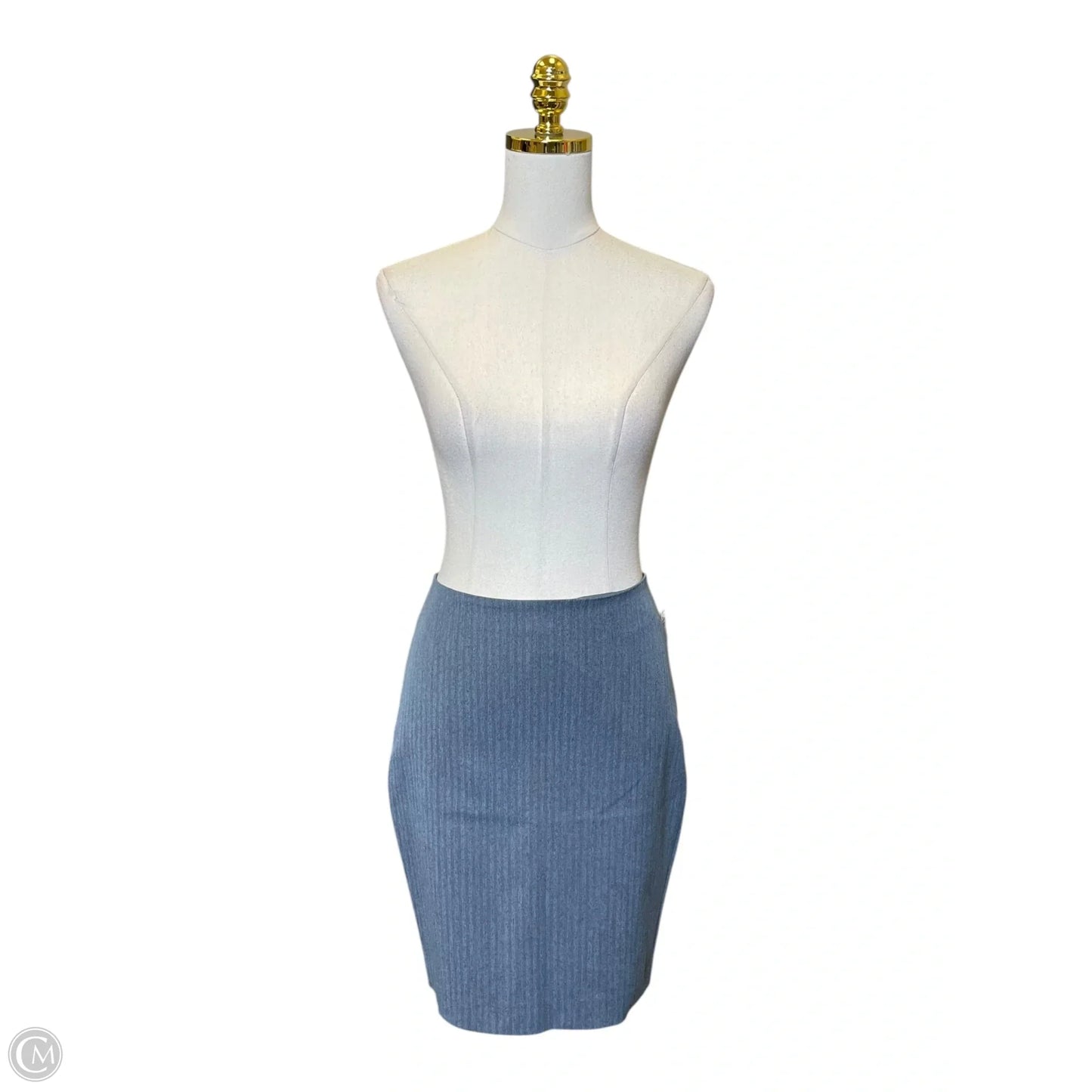 Skirt Midi By Express In Blue, Size: 0