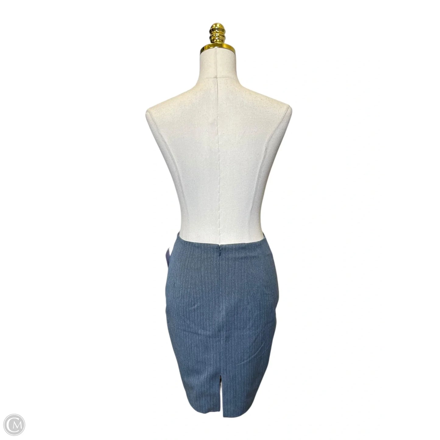 Skirt Midi By Express In Blue, Size: 0