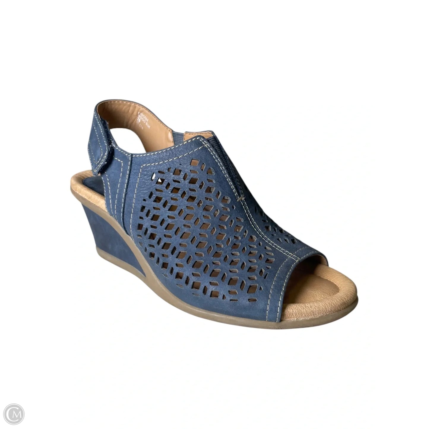 Sandals Heels Wedge By Earth In Blue & Tan, Size: 7