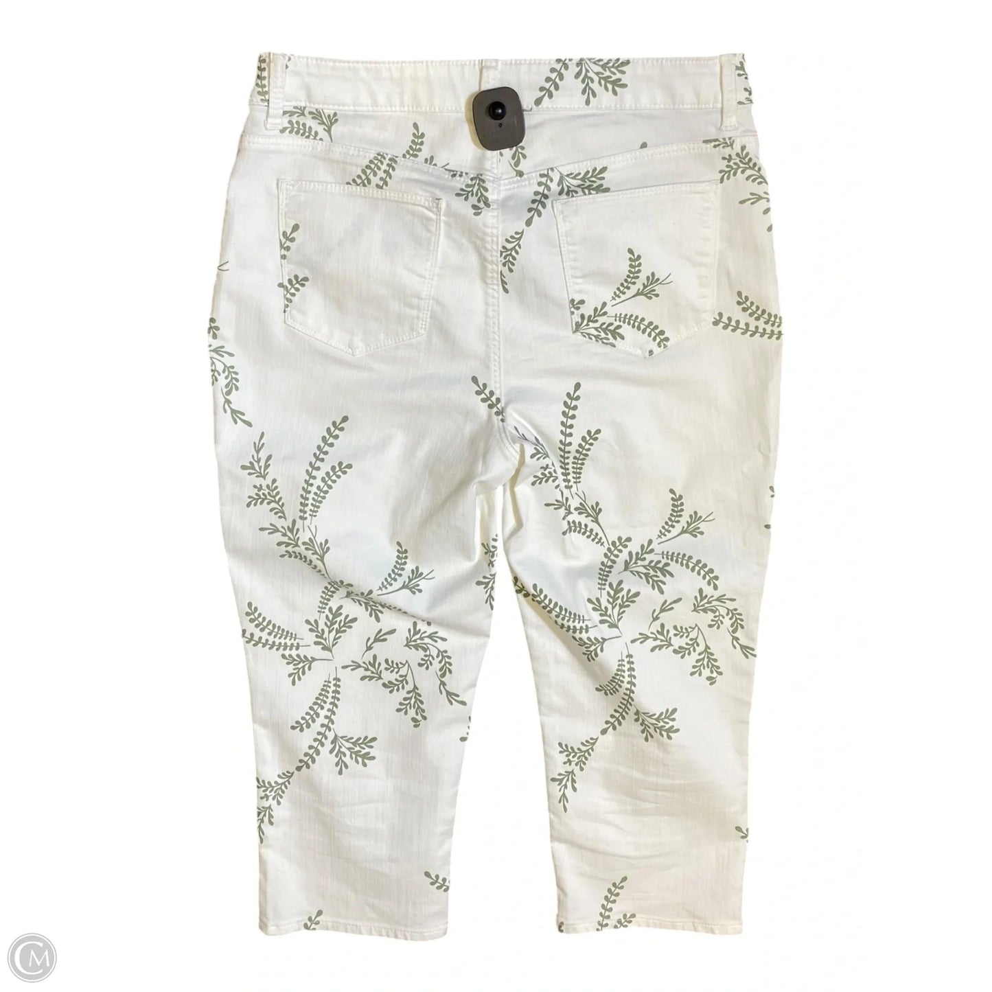 Jeans Cropped By Chicos In Green & White, Size: 10